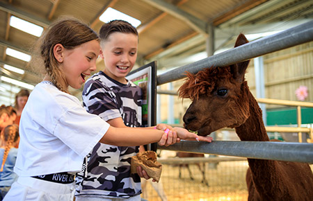 the big animal barn