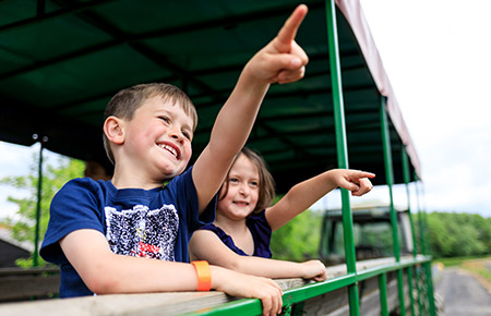 tractor and trailor rides