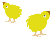 Chicks