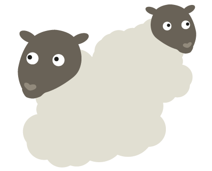 Sheep